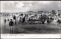 Berck-Berck-sur-Mer59