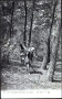 En-Foret