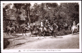 Les-Drags-en-foret